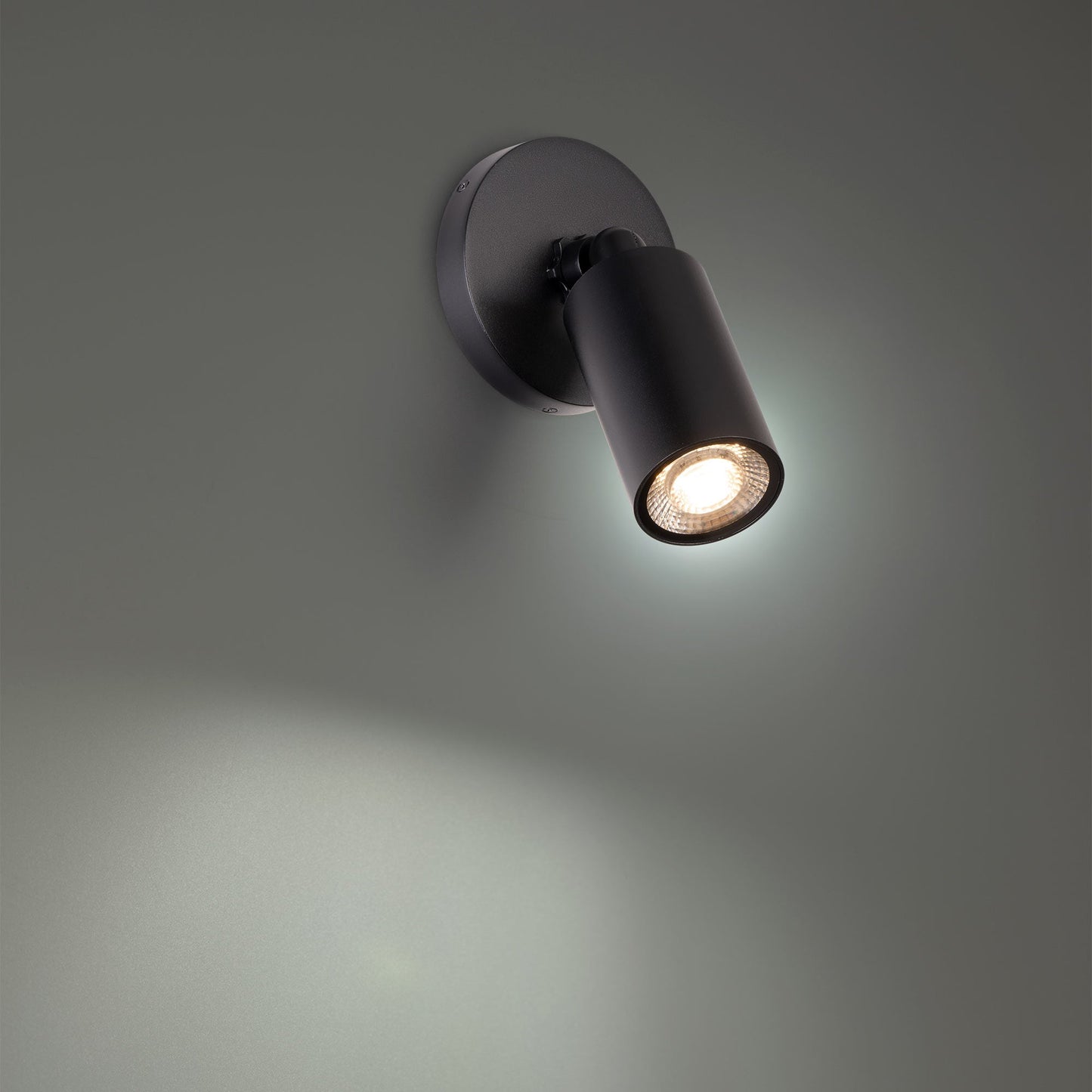 Cylinder Outdoor LED Ceiling / Wall Light in Detail.