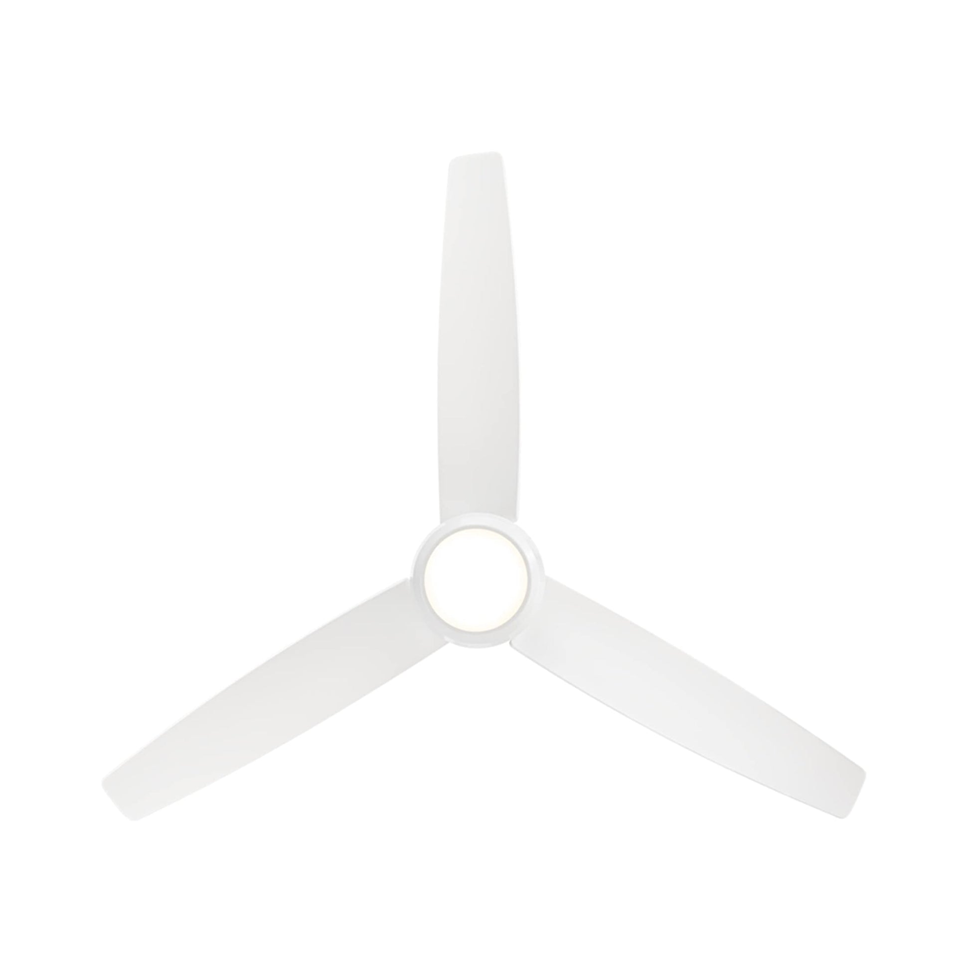 Ferris LED Ceiling Fan in Detail.
