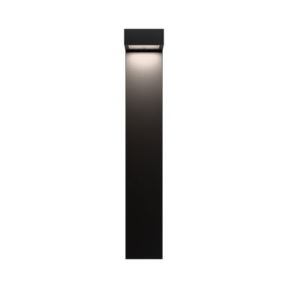 Ledge LED Path Light in Detail.