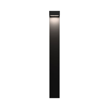 Ledge LED Path Light in Detail.