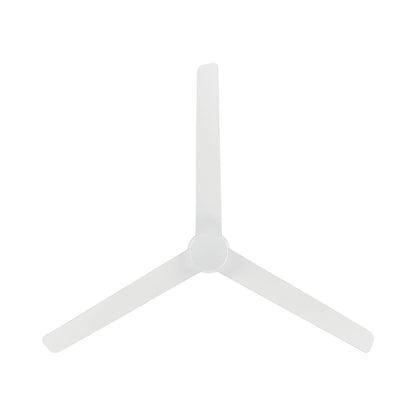 Novelle LED Ceiling Fan in Detail.