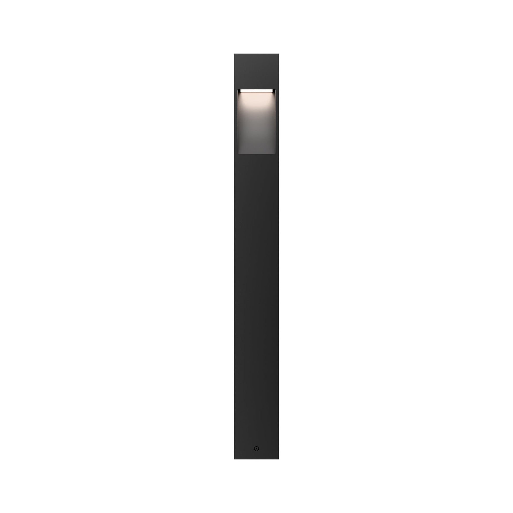 Standup Outdoor LED Path Light in Black on Aluminum.