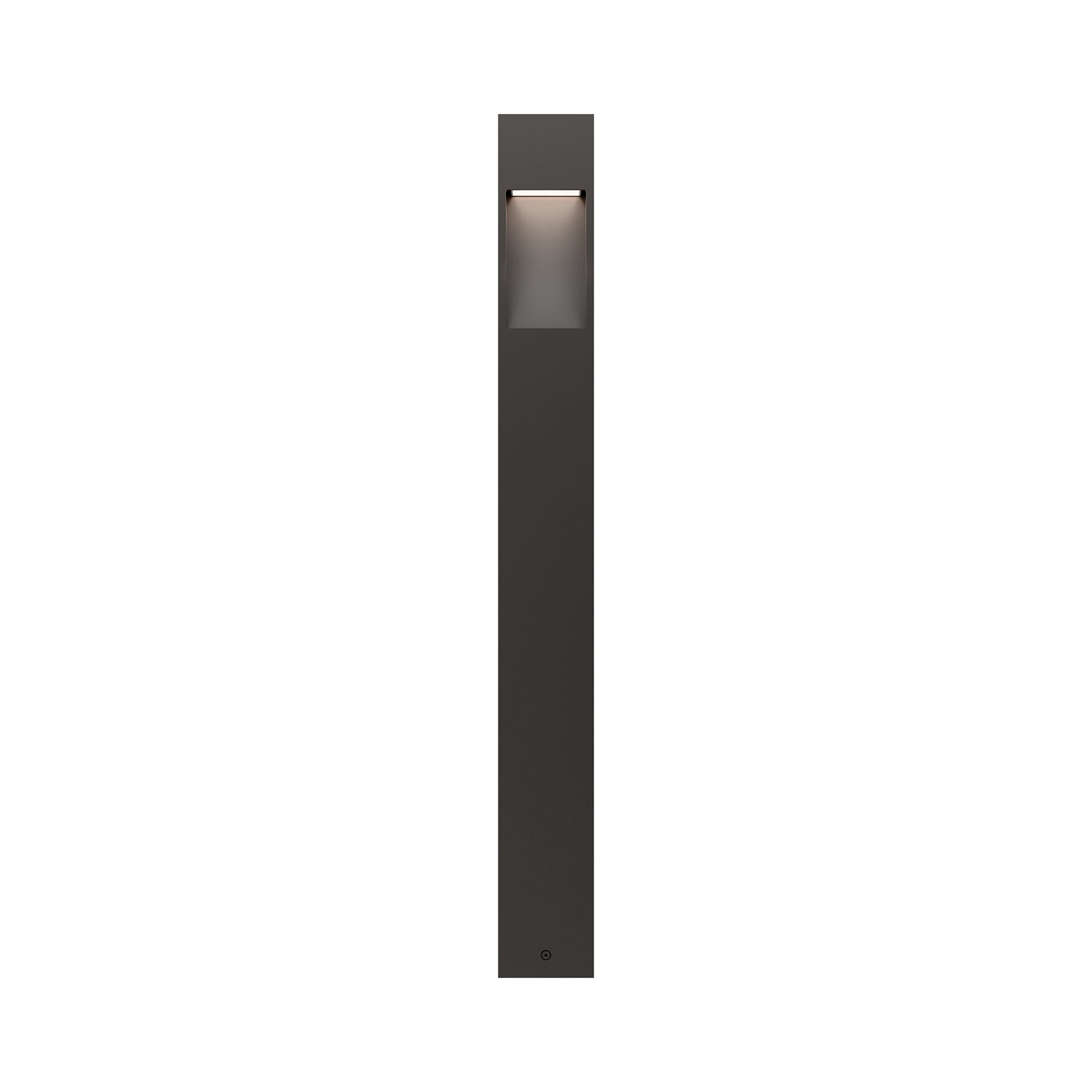 Standup Outdoor LED Path Light in Detail.
