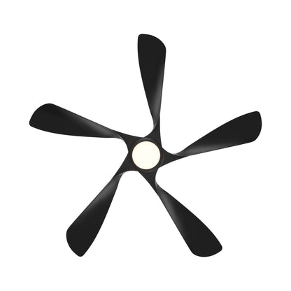 Swirl 5 LED Ceiling Fan in Detail.