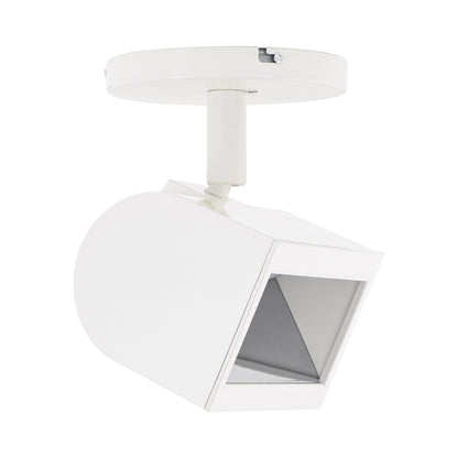 Wall Wash LED Monopoint Spot Light in White (Selectable CCT).