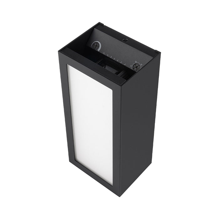 Window Indoor/Outdoor LED Wall Light in Black (Large/20W).