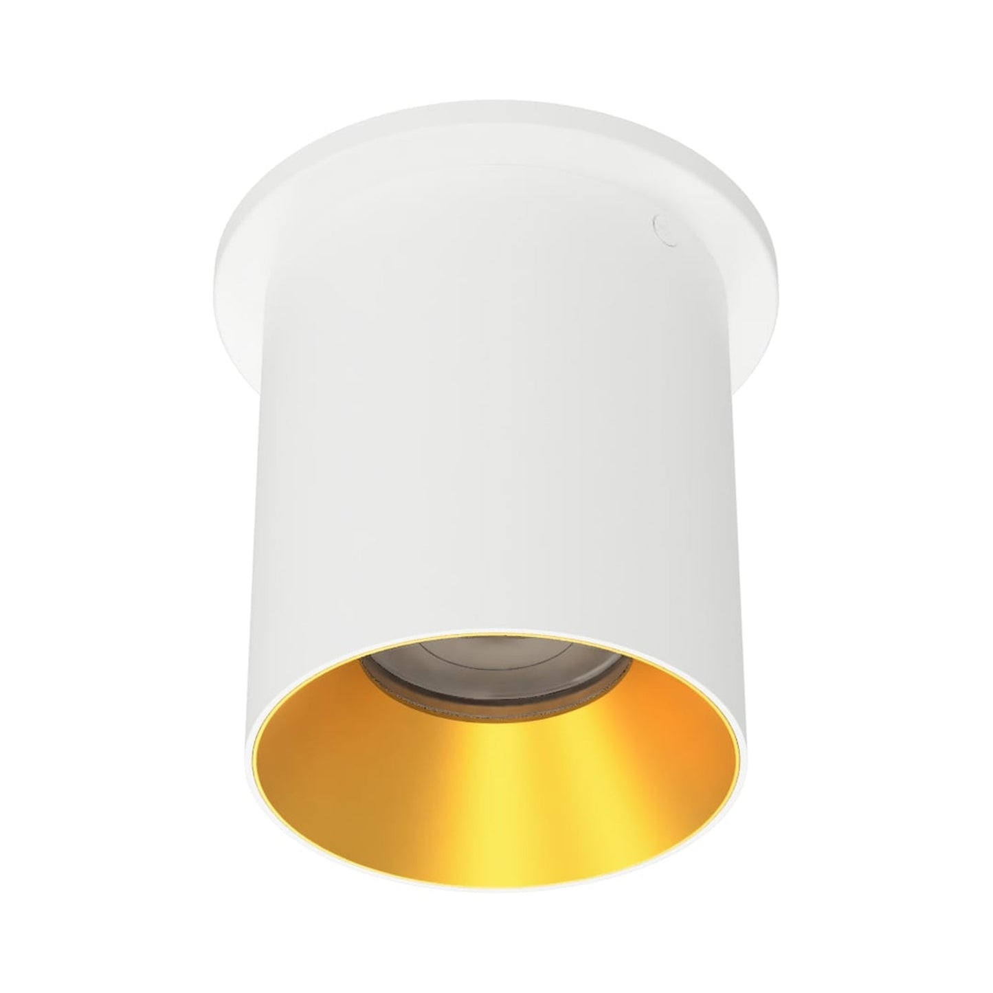 Zoron Round Outdoor LED Flush Mount Ceiling Light in White/Gold.