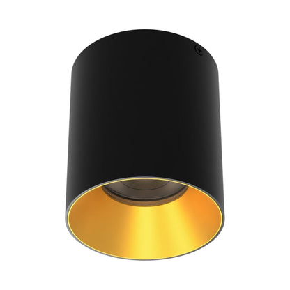 Zoron Round Trimless Outdoor LED Flush Mount Ceiling Light in Black/Gold.