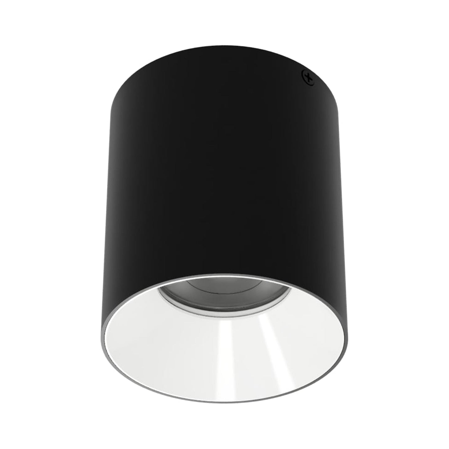 Zoron Round Trimless Outdoor LED Flush Mount Ceiling Light in Black/White.