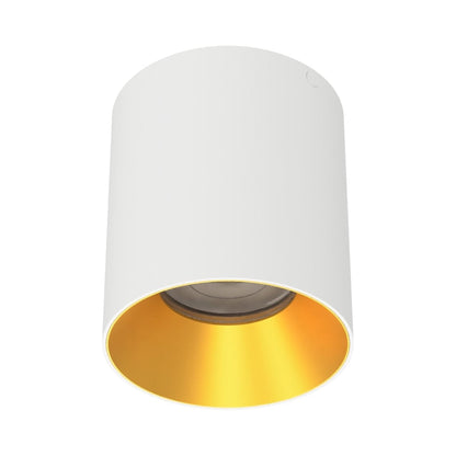 Zoron Round Trimless Outdoor LED Flush Mount Ceiling Light in White/Gold.