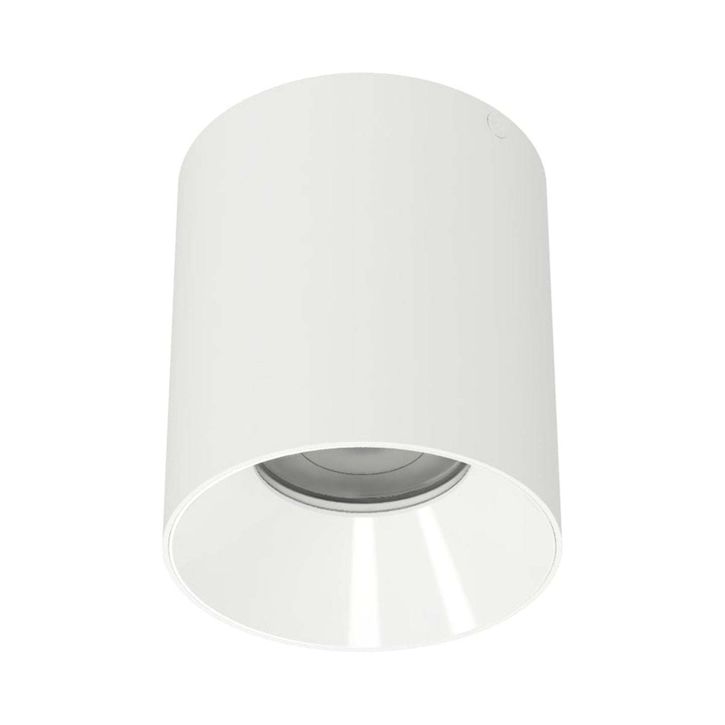 Zoron Round Trimless Outdoor LED Flush Mount Ceiling Light in White/White.