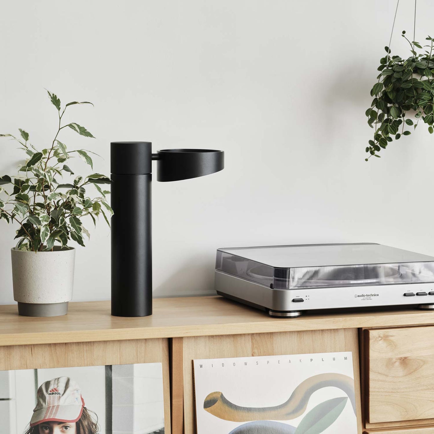 Owl LED Table Lamp in living room.