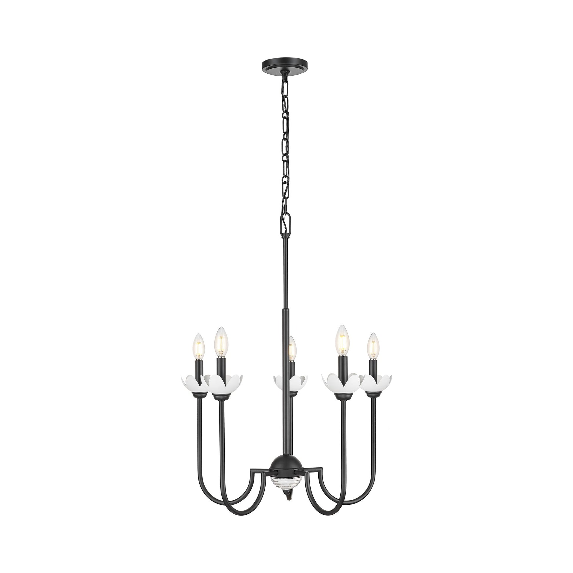 Allistair Chandelier in Matte Black (5-Light).