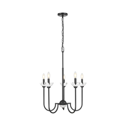 Allistair Chandelier in Matte Black (5-Light).