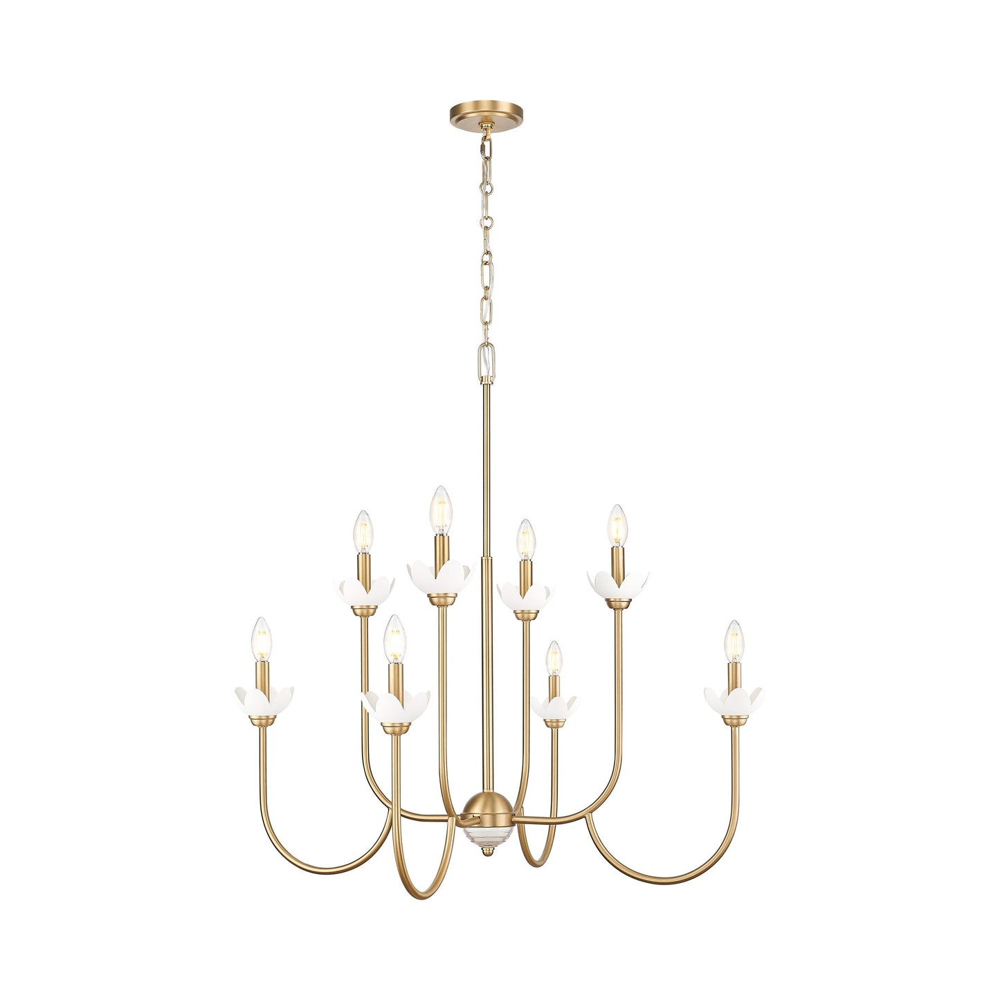 Allistair Chandelier in Modern Gold (8-Light).