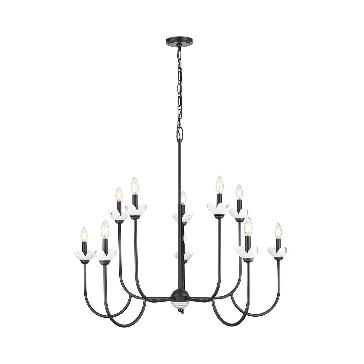 Allistair Chandelier in Matte Black (10-Light).