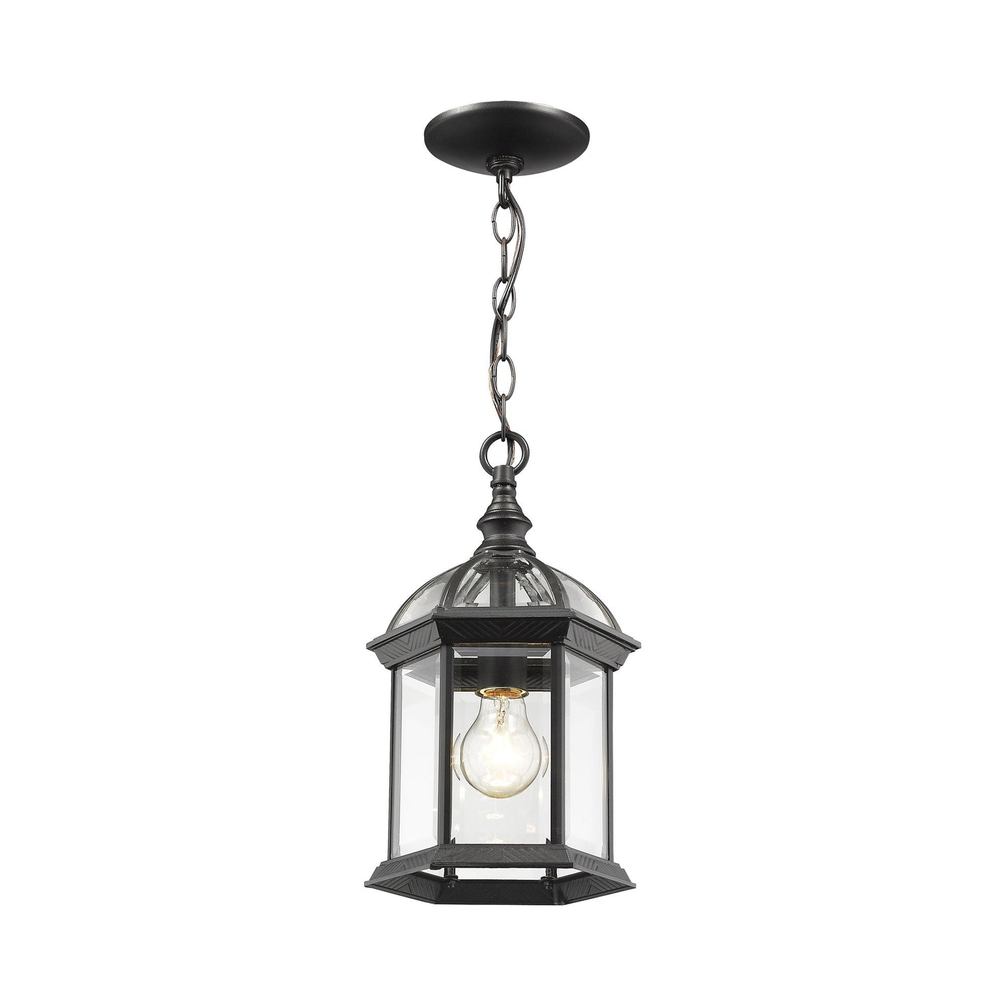 Annex Outdoor Pendant Light in Black.