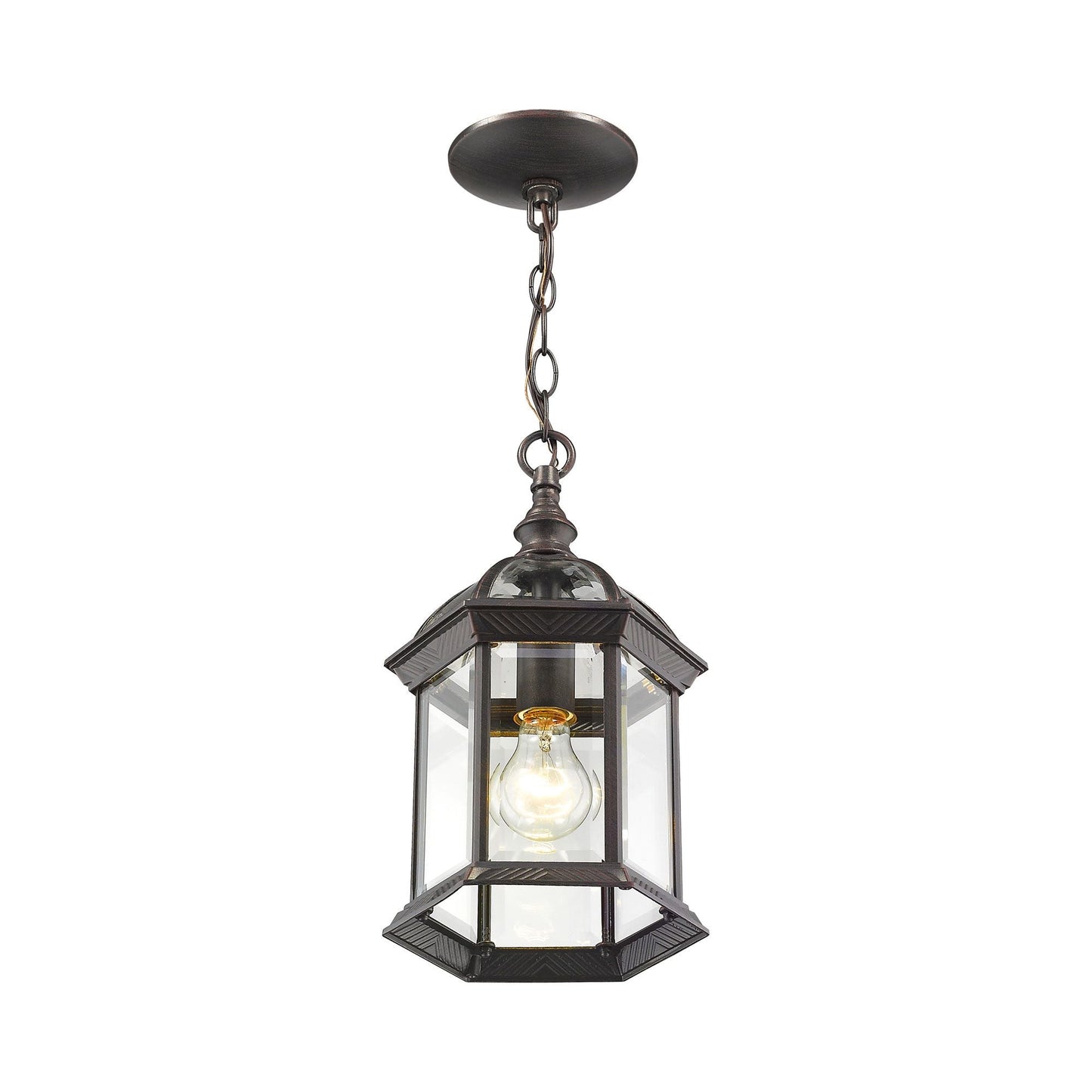 Annex Outdoor Pendant Light in Detail.