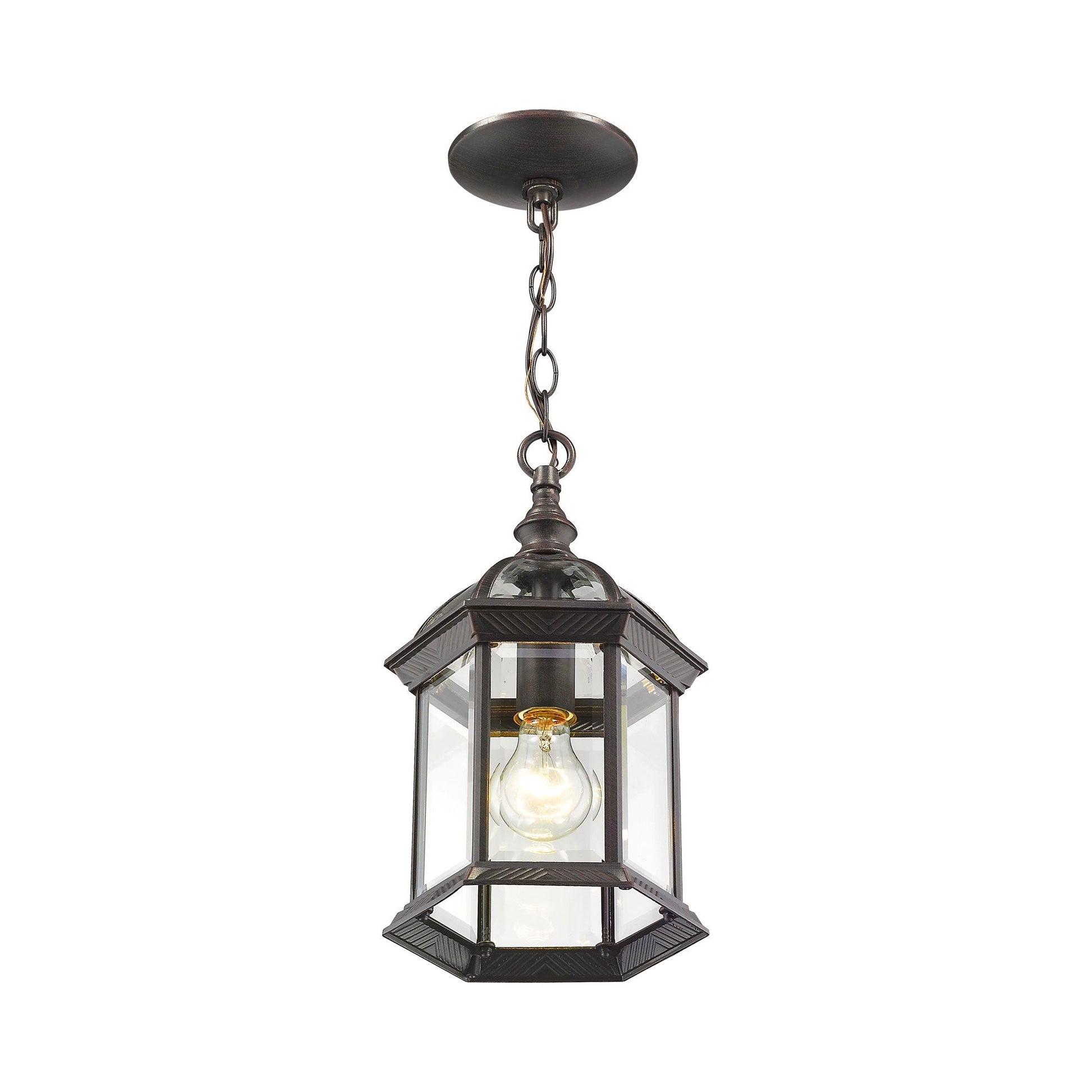 Annex Outdoor Pendant Light in Detail.