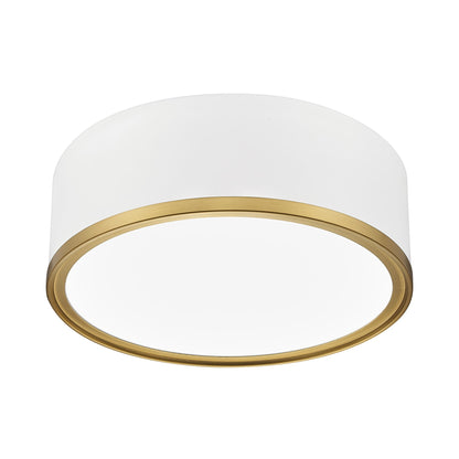 Bradley LED Flush Mount Ceiling Light.