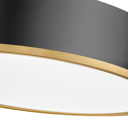 Bradley LED Flush Mount Ceiling Light in Detail.