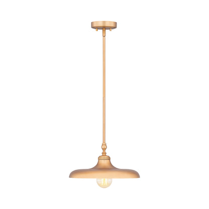 Camden Pendant Light in Rubbed Brass (14-Inch).