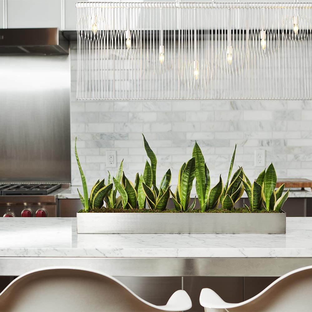 Contour Linear Chandelier in dining room.
