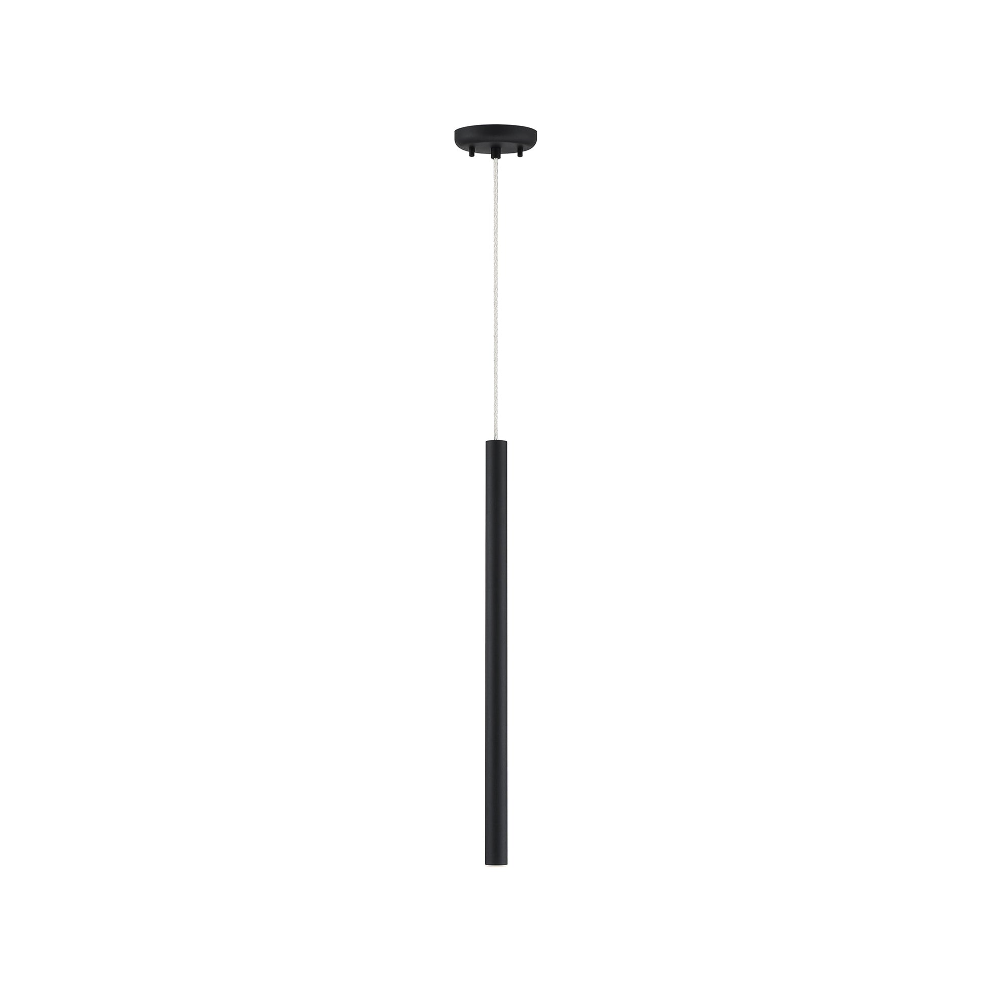 Forest LED Pendant Light in Matte Black (24-Inch/118-Inch Cord Length).