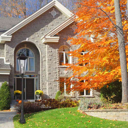 Gannon Outdoor Ornate Post Light in Outside Area.