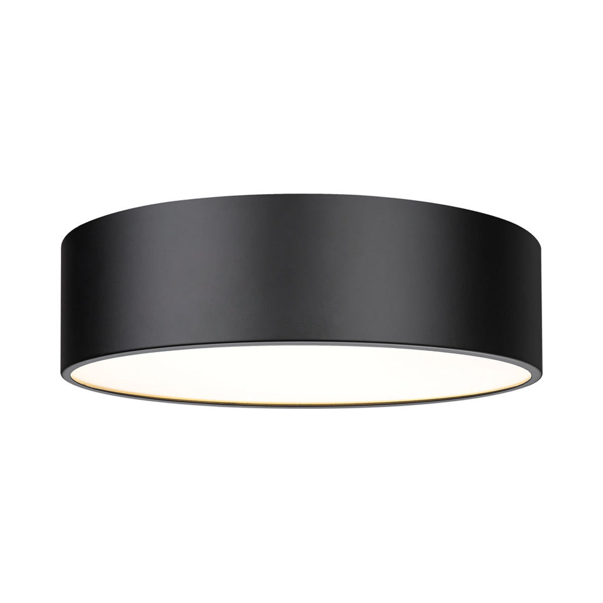 Harley Flush Mount Ceiling Light in Matte Black (20-Inch).