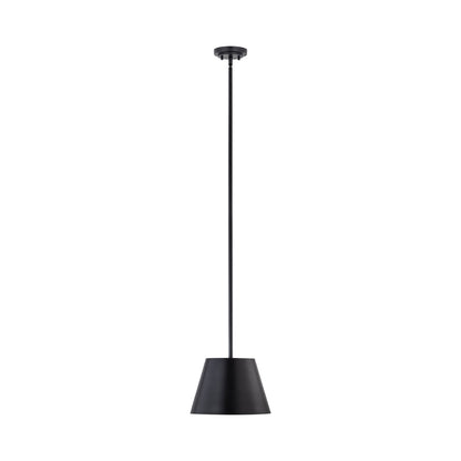 Lilly Pendant Light in Matte Black (12-Inch).