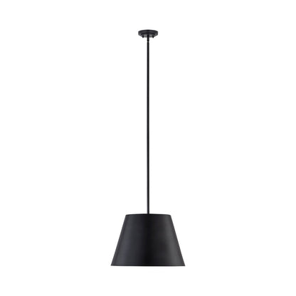 Lilly Pendant Light in Matte Black (18-Inch).