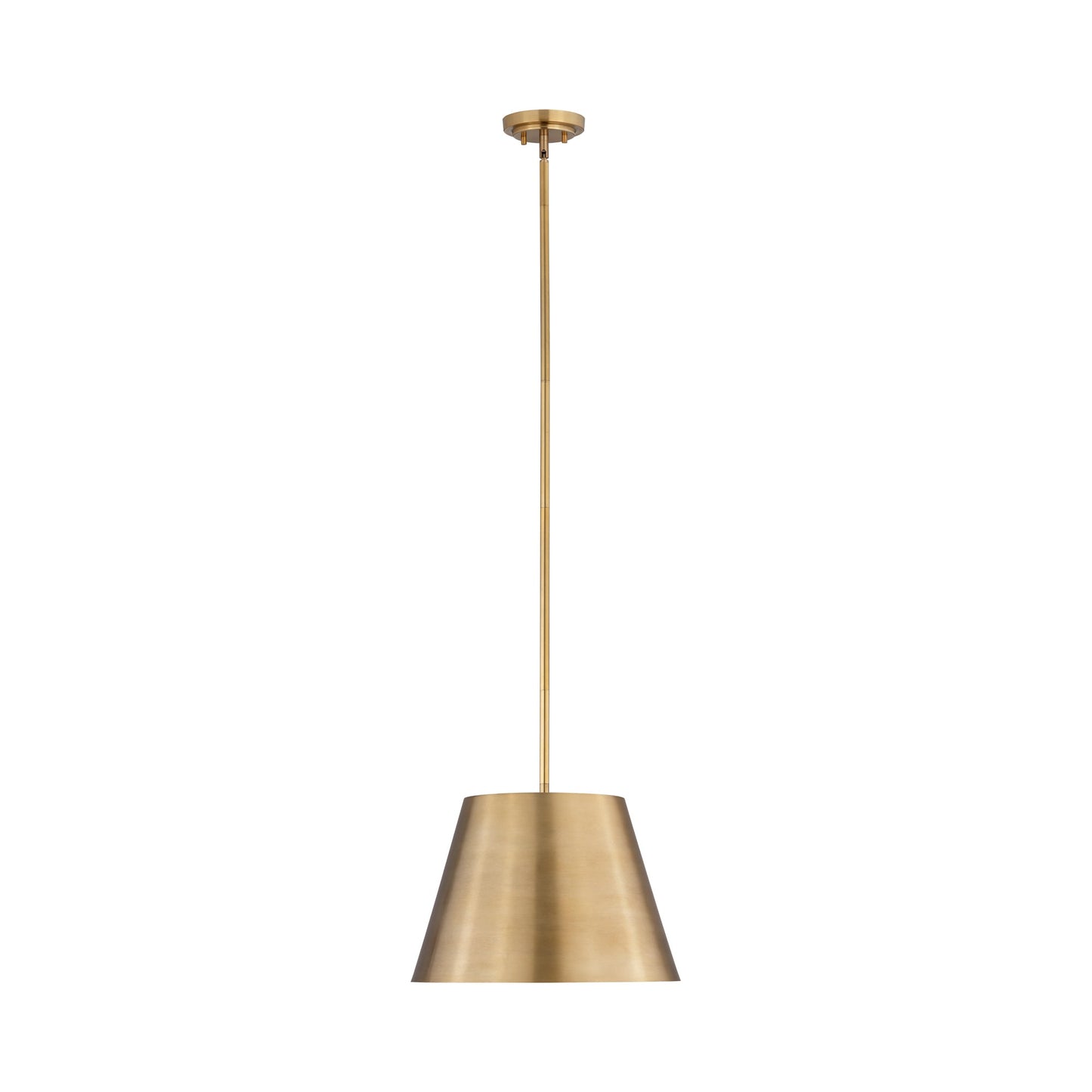 Lilly Pendant Light in Rubbed Brass (18-Inch).