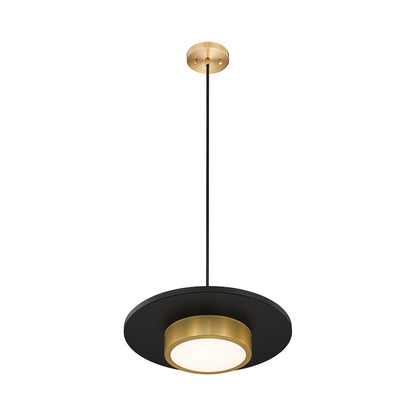 Ludo LED Pendant Light in Detail.