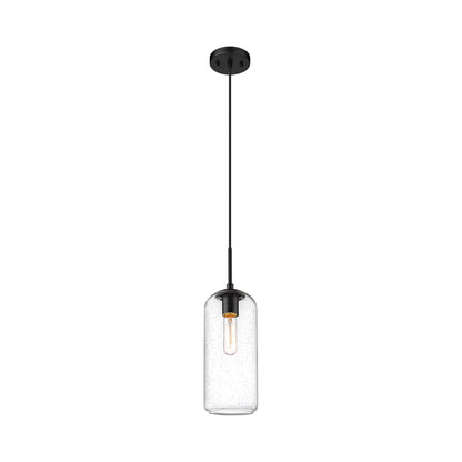 Monty Pendant Light in Matte Black (17-Inch/Seedy).