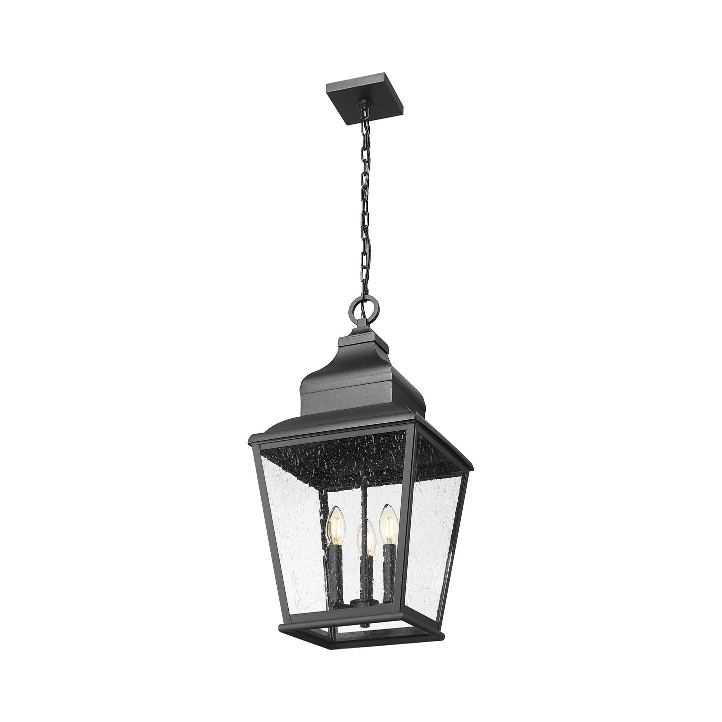 Raphael Outdoor Pendant Light in Detail.