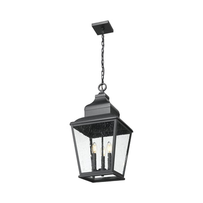 Raphael Outdoor Pendant Light in Detail.