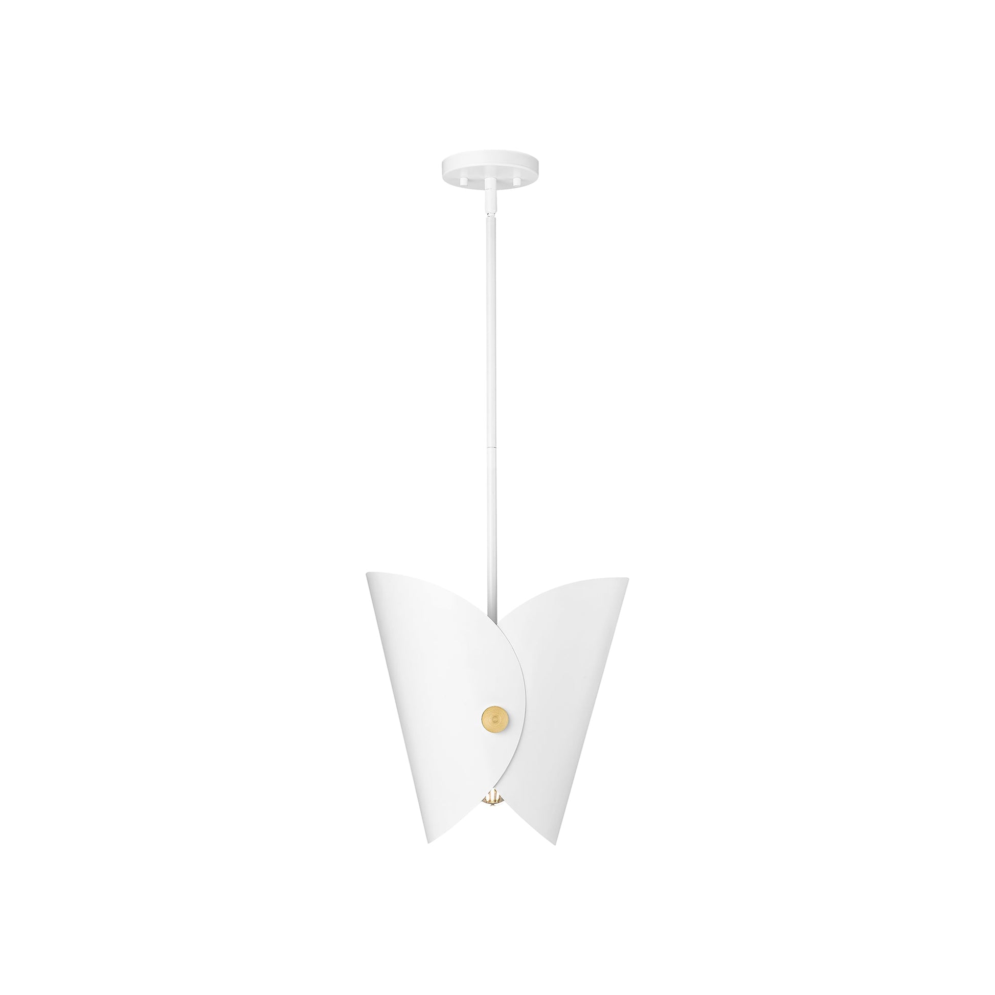 Salone Pendant Light in Detail.