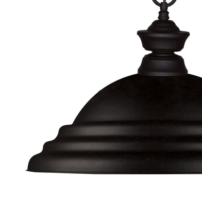 Z-Lite SB Pendant Light in Detail.
