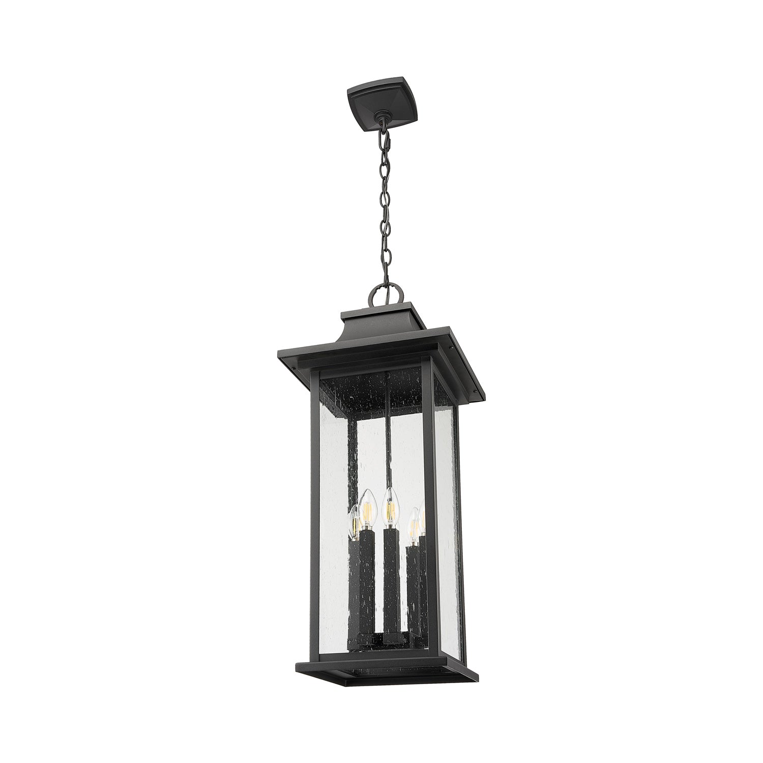 Tiberius Outdoor Pendant Light in Detail.