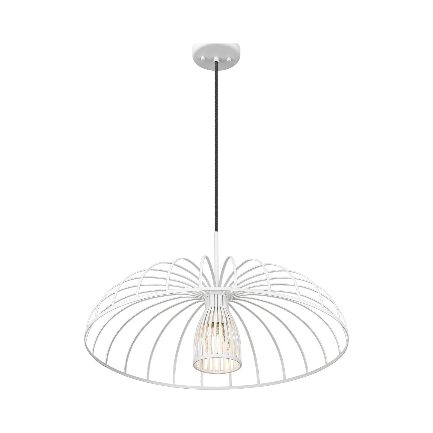 Valencia Pendant Light in Detail.