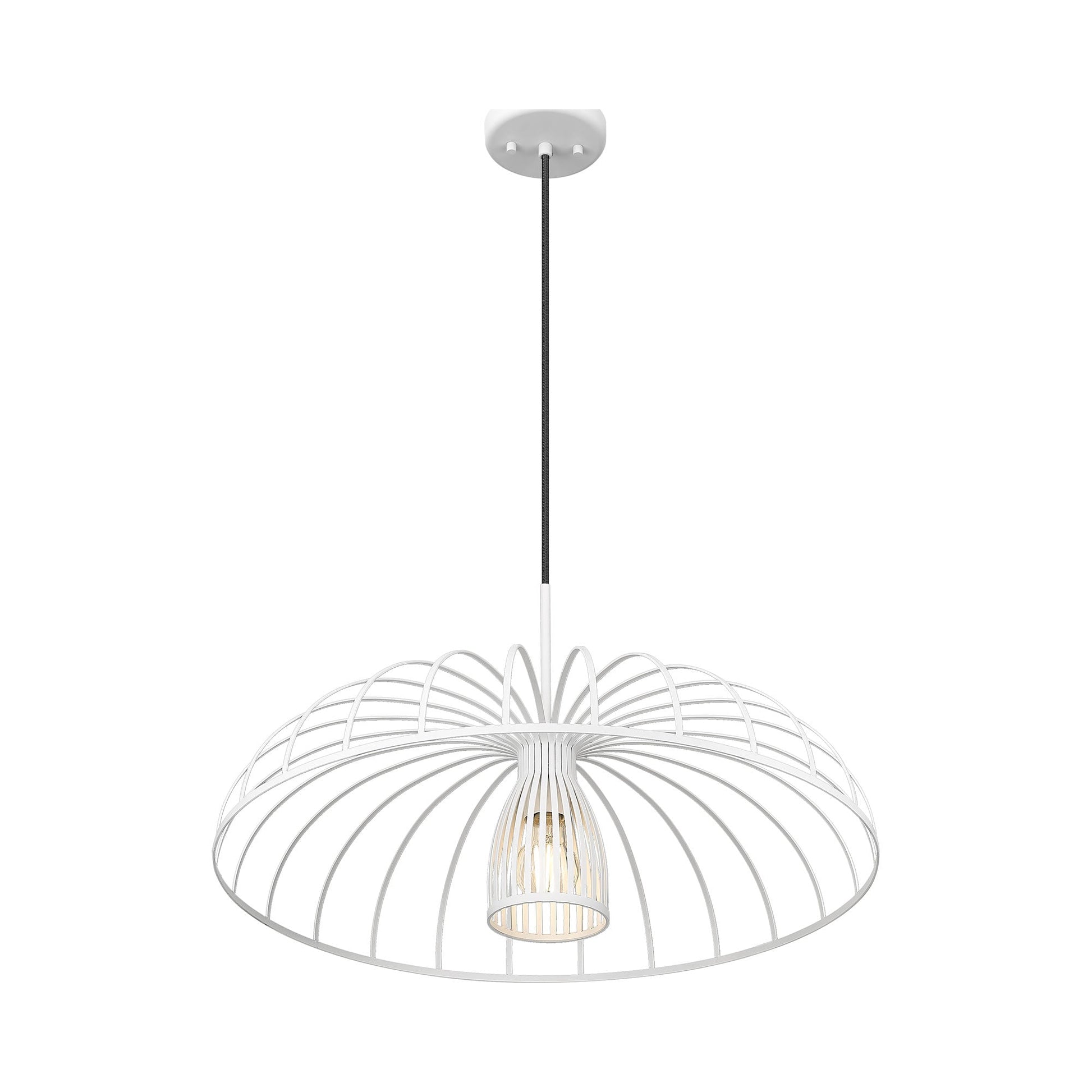 Valencia Pendant Light in Detail.