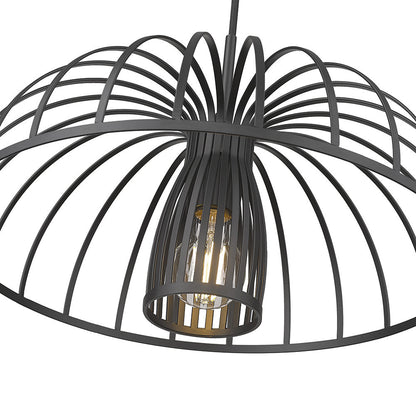 Valencia Pendant Light in Detail.