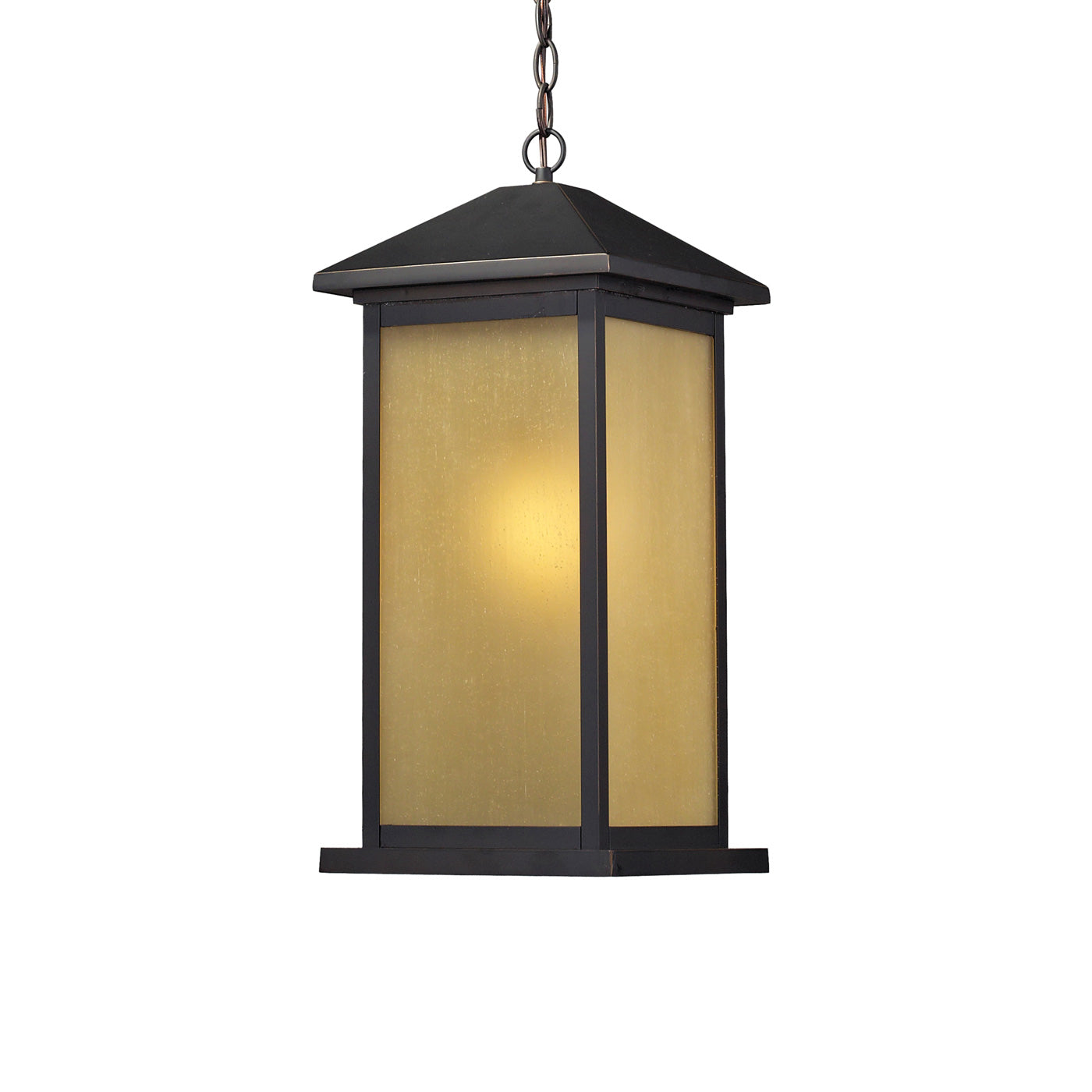 Vienna Outdoor Pendant Light in Detail.