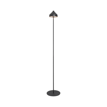 Amelie Pro Outdoor Rechargeable LED Floor Lamp in Black.