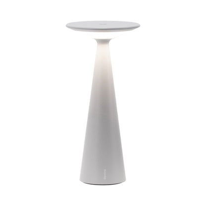 Damina Pro Outdoor Rechargeable LED Table Lamp in Gray.