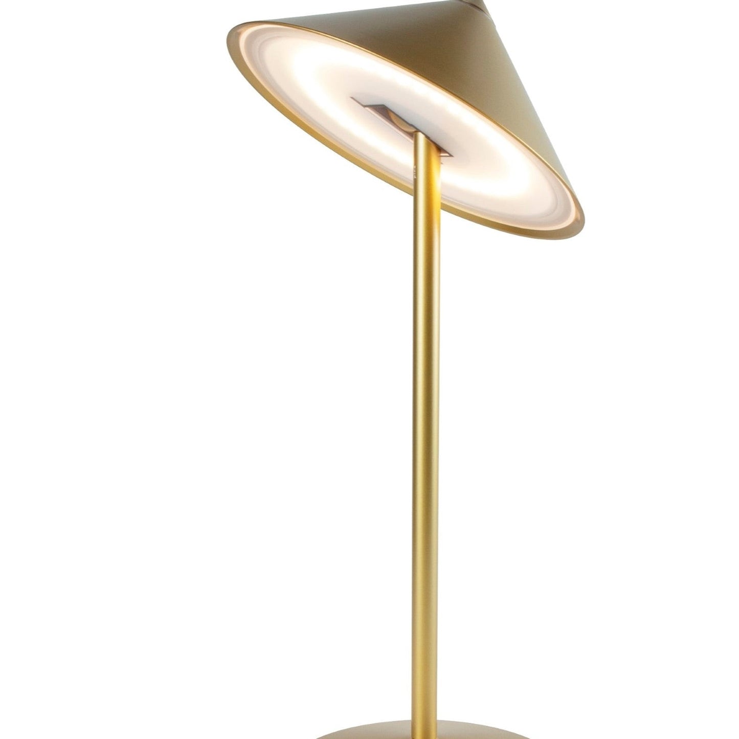 Pina L Outdoor Rechargeable LED Table Lamp in Detail.