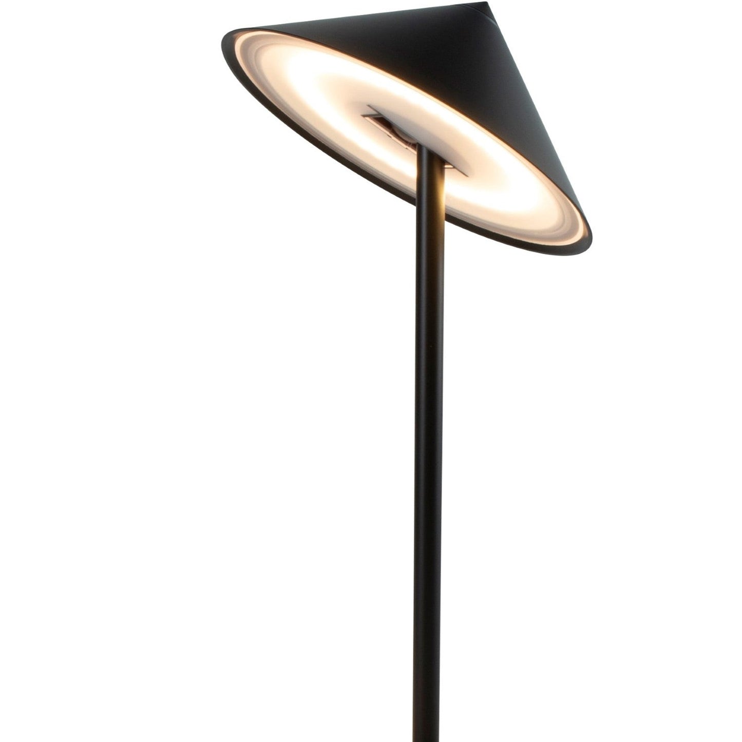 Pina L Outdoor Rechargeable LED Table Lamp in Detail.