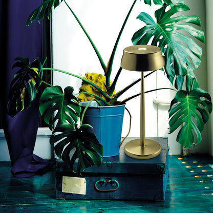 Sister LED Portable Table Lamp in living room.