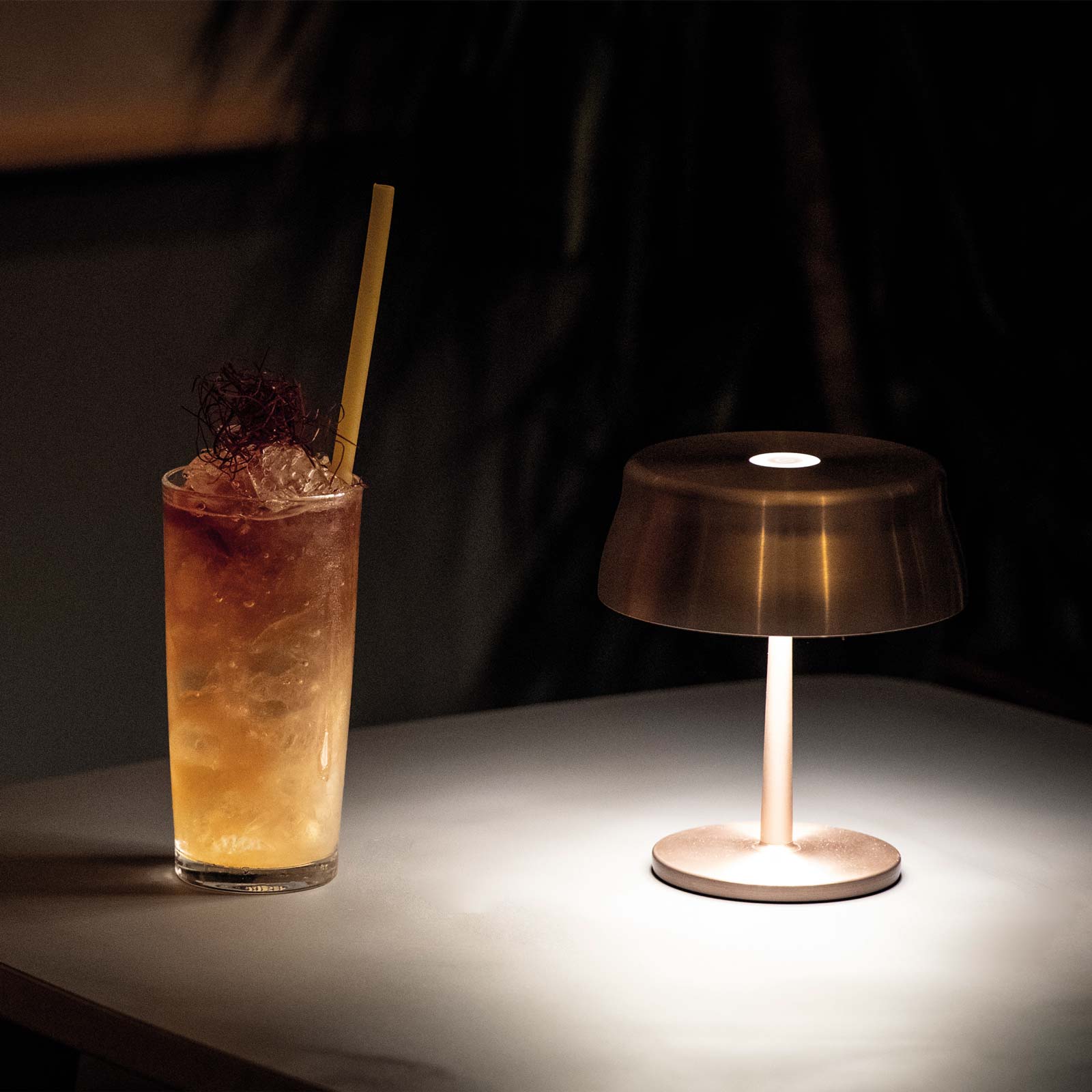 Sister Light Wi-Fi Mini Outdoor Rechargeable LED Table Lamp living room.